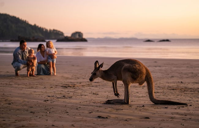 Cape Hillsborough Nature Tourist Park - Foto 33