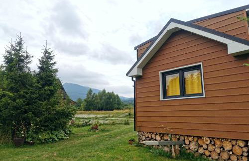 Wetlina 21 - Foto 11