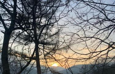 Mi'Ele Apartments - Foto 6