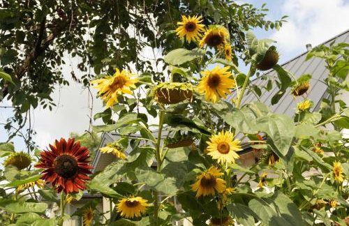 Oliwkowy Ganek - Foto 8