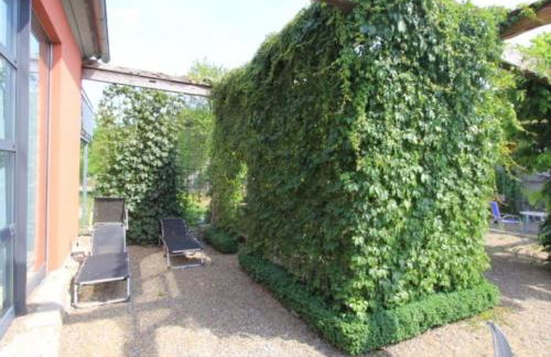 Holiday apartment in Castell with barbecue - Photo 12