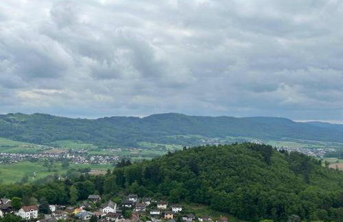 Nibelungen 4 Zimmer Apartment - Foto 54