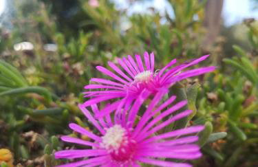 Apartman MARIJETA - Foto 51