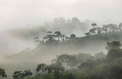 Casa da Floresta - Ibitipoca - Photo 36