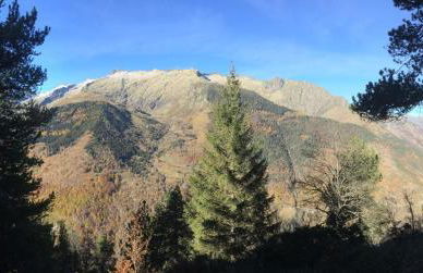 Les Bordes De Paloumières - Foto 54
