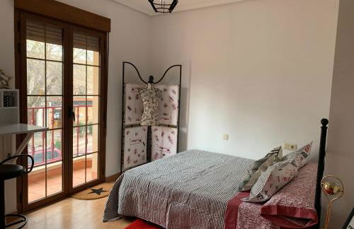 Hoster cinema VERONA - Foto 15