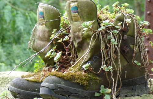 Pirna-Apartment - Photo 20