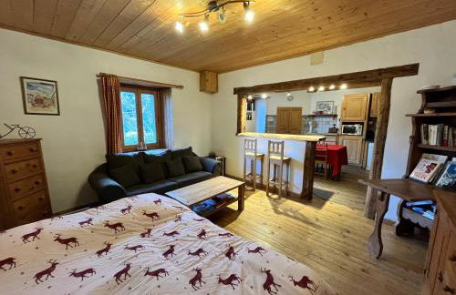 Appartement spacieux proche des télécabines et du centre ville avec jardin privé - Foto 11