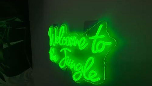 Balneo & Ciné - Jungle Touch - Direct Genève - Gare Bellegarde - Foto 2