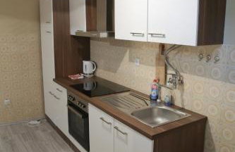 Apartment 51 - Photo 14