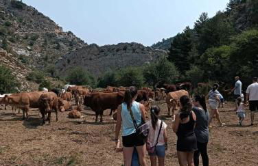 Apartamentos de Turismo Rural La Rocha - Foto 32