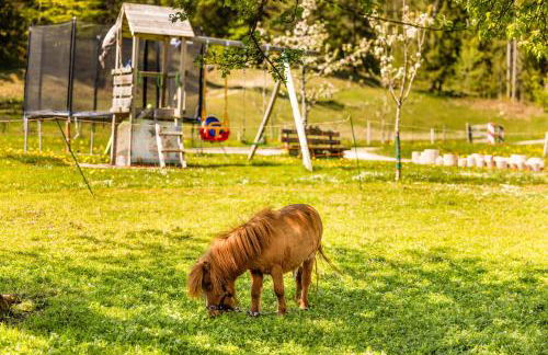 Ferienwohnung Roislerlehen - Foto 20