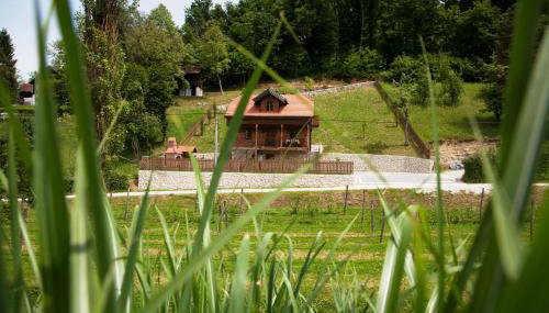 Vila Trnoružica - Foto 2, Garden view