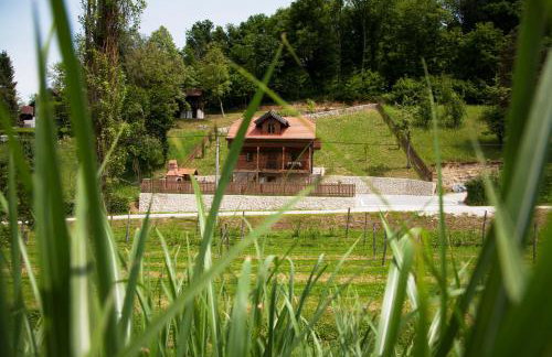 Vila Trnoružica - Foto 2