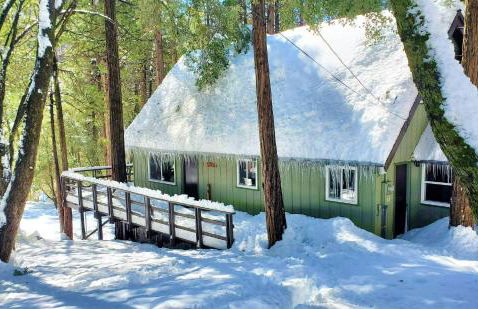 Trout River Cabin - Cozy Quiet Peaceful Retreat - Foto 3