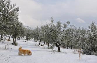 Agriturismo "Antico Frantoio" - Photo 40