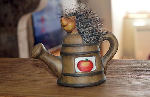 Le Gîte du Hérisson, Gîte de charme et de confort - Foto 20