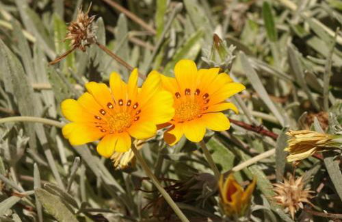 Casa El Sitio - Foto 37