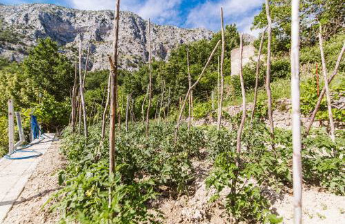 Apartment Kuzmanić - Foto 24