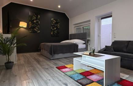 Geräumige Einzimmerwohnung in Quakenbrück - Foto 2