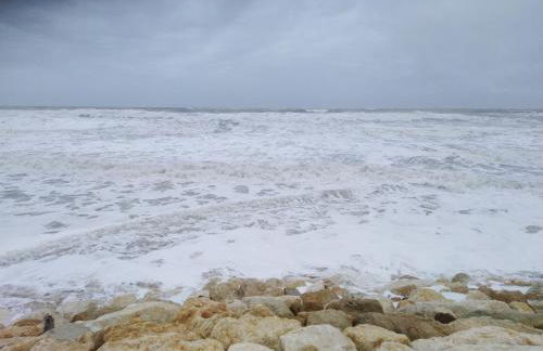 le studio de Monta - Foto 16