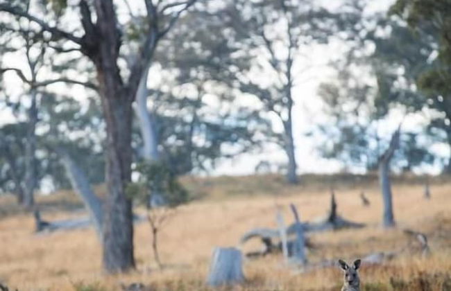 Turon Gates - Mountain Retreat - Foto 71