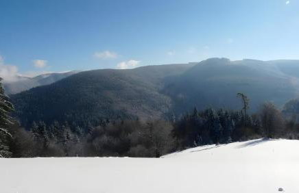 Reesbauernhof - Fewo Abendrot - Photo 12