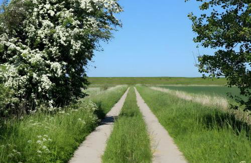 Gänsehaus - Foto 19