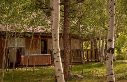 Woodland Camping Cabin for Biking near Arkansas Hills Trail in Colorado - Foto 18