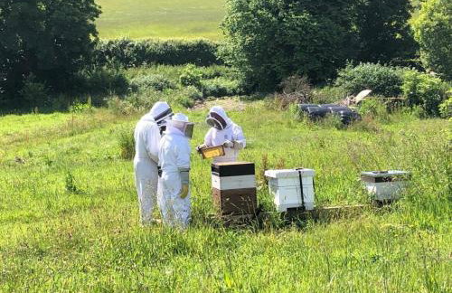 Pets- Garden- Bbq- Parking- Fireplace- Sleeps 6 - Foto 2