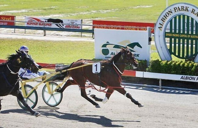 Quest Breakfast Creek - Foto 37