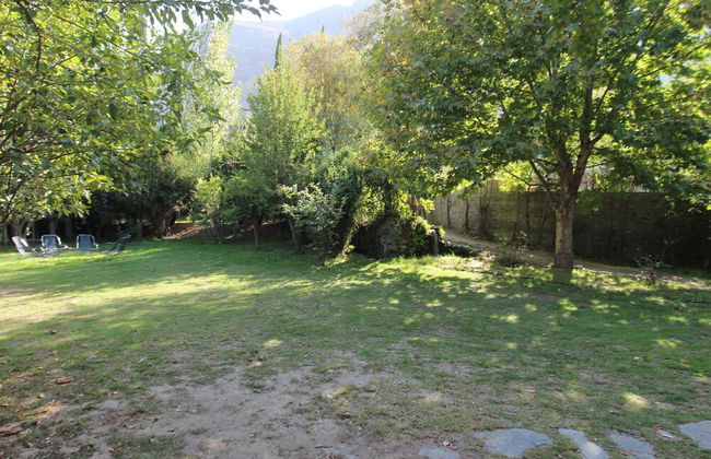 Springfield - Photo 15