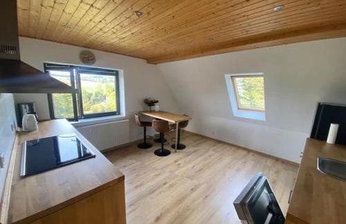 Perfekte Auszeit im Erzgebirge - Foto 9