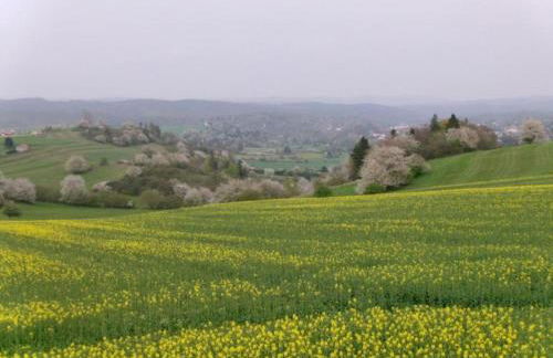 Einladende Ferienwohnung mit Garten - Foto 38