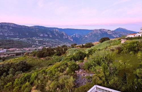 Villa Giulia - Cilento - Giungano - Foto 76