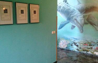 Apartments Villa Kristina - Photo 7