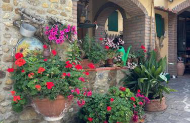 Agriturismo Manetti - Foto 51