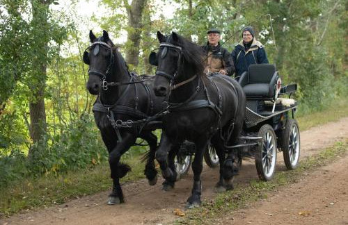 Ferienhof Martens - Foto 10