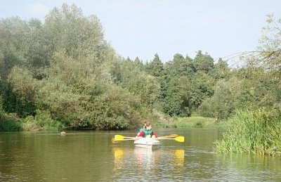 Domek Drewniany - Foto 50