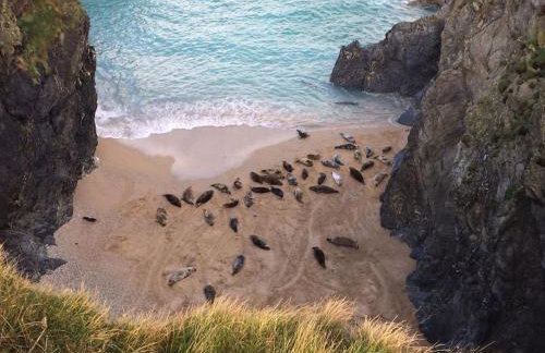 Cubert Nr Newquay Traditional 16th century cottage - Foto 32