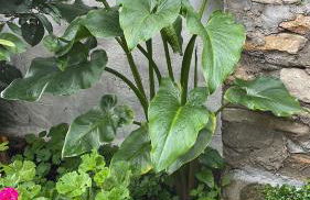 ANTICA BAITA - Foto 47