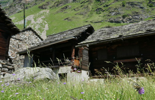 Rustico Fortuna - Foto 34