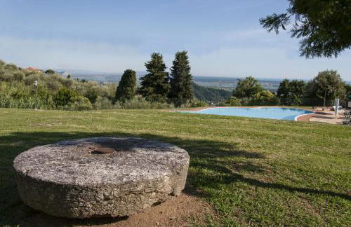 Frantoio di Corsanico - Foto 22