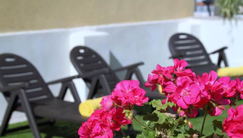 Albercutx Pollentia 2 - Foto 2, Garden, Garden view