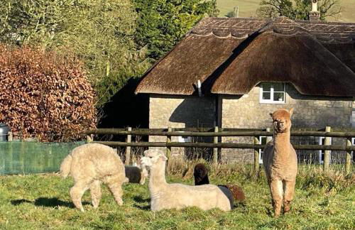 Kings Cottage - Heart of the Deverills - EV Point - Foto 8