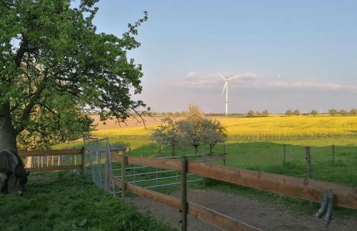 Sinnes Wandel Hof Serka - Foto 27