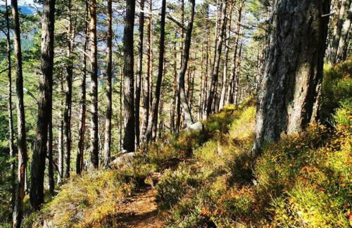 Le gîte de la Grande Vallée - Vue exceptionnelle - Foto 23