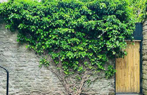 Muddy Boots-Arcade Royale - Photo 12