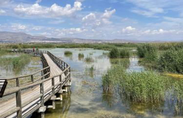 Casa Amarela Guesthouse, Algorfa - Foto 56