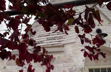 Trulli La Quercia del Nonno - Photo 22